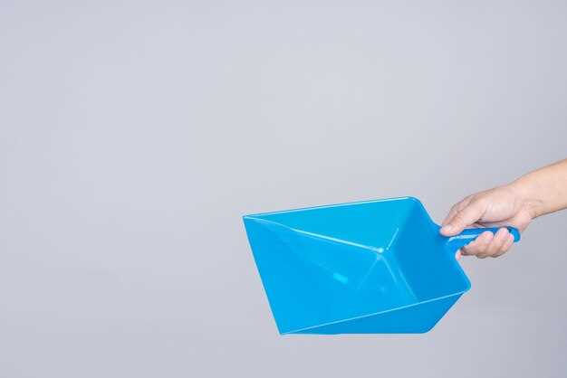 Официальный ресурс: Пошаговое руководство по доступу